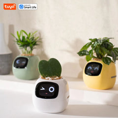 The Tuya Ivy Smart Planter