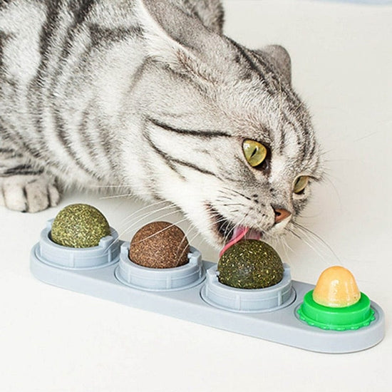 Pet Cat Catnip Wall Ball Cat Toy Catnip Balls Snack Healthy Rotatable Treats Toy Kitten Playing Chewing Cleaning Teeth Toys Food - Wowza