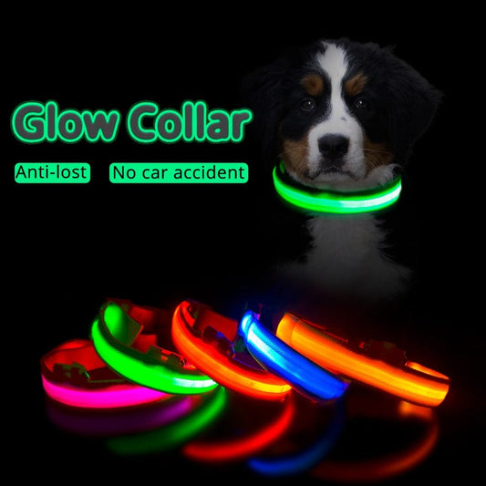 USB Charging/Battery replacement Led Dog Collar Anti-Lost Collar For Dogs Puppies Dog Collars Leads LED Supplies Pet Products - Wowza